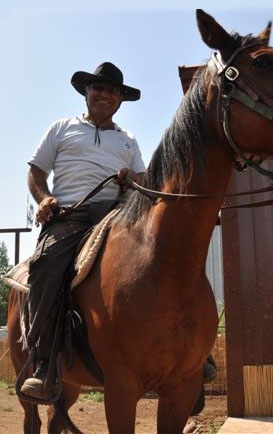 horse guide