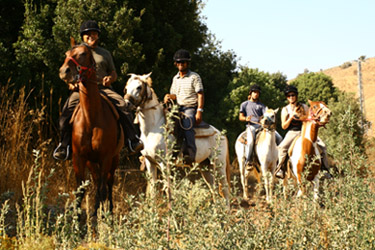 4 Riders